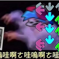 请问你们是怎么喜欢上fnf第一个喜欢的人物是谁为什么喜欢她