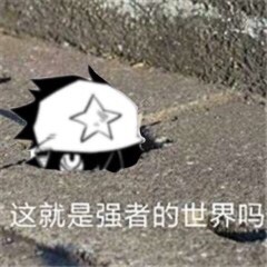 雷狮表情包