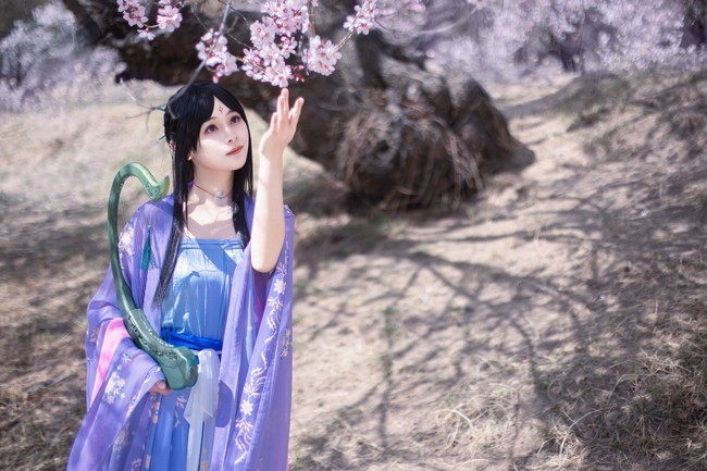 仙剑奇侠传四拾花集汉服版梦璃