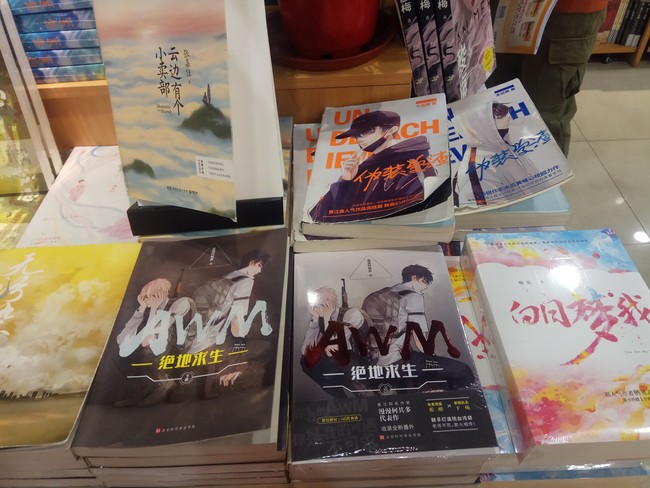 好多原耽的书
