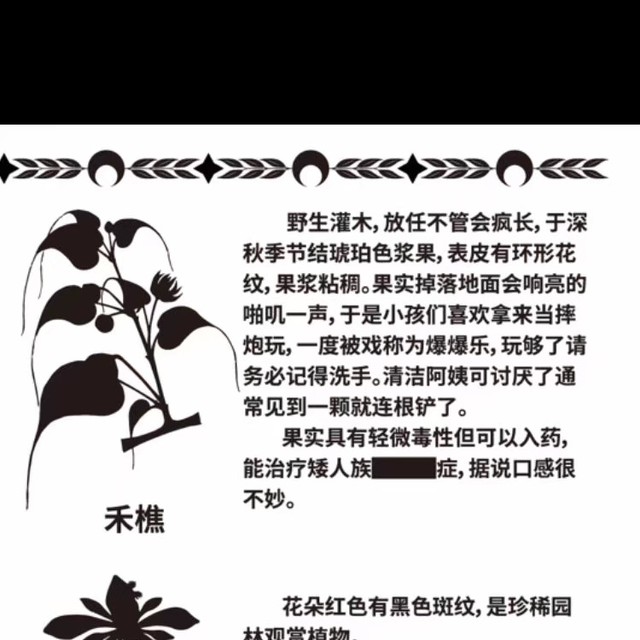 魔法植物手记 半次元 Acg爱好者社区