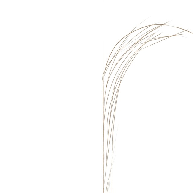 伪官方认证-宇宙总攻江宇直的个人主页 - 半次