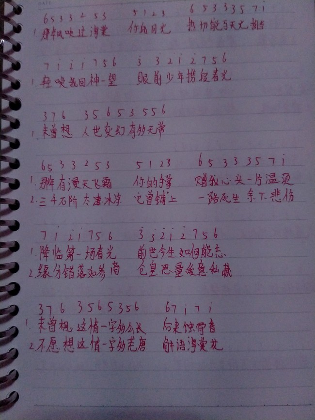 晚夜微雨问海棠曲谱光遇_晚夜微雨问海棠光遇谱(3)