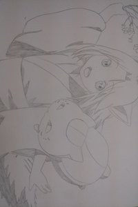 尐孑桀的个人主页 - 半次元 - ACG爱好者社区