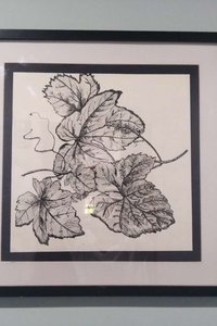 代号橘Z的个人主页 - 半次元 - ACG爱好者社区