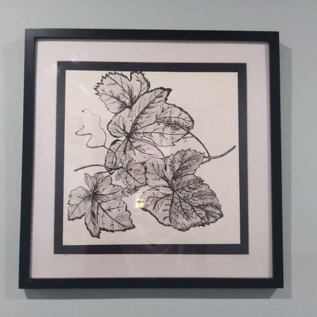 代号橘Z的个人主页 - 半次元 - ACG爱好者社区