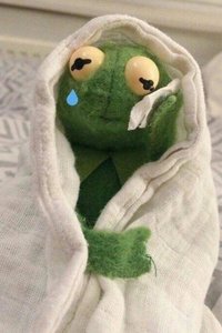 代号橘Z的个人主页 - 半次元 - ACG爱好者社区