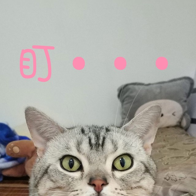 夏一sama的个人主页 - 半次元 - ACG爱好者社