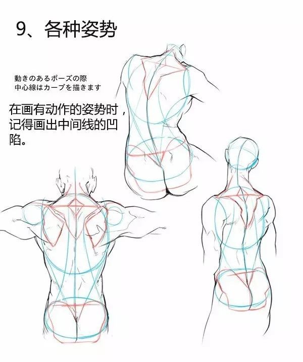 人体绘画教程之男女背部的差异画法