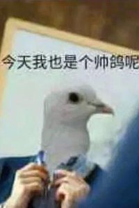 今天的沐羽七咕咕咕了吗的个人主页 - 半次元 - ACG爱好者社区