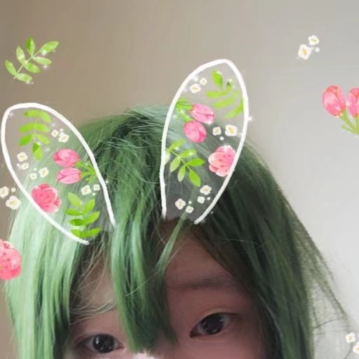 是一只江宇直啦